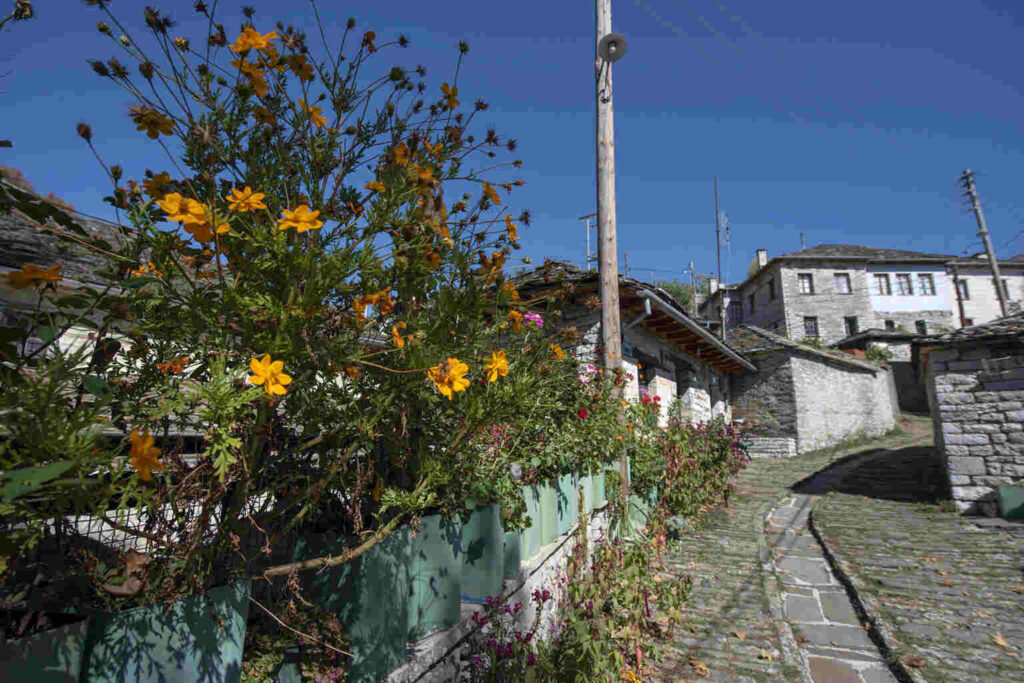 Pindus mountain range - Zagorohoria - Gastronomy Tours ΚΑΠΕΣΟΒΟ 08 1536x1025 1 - Gastronomy Tours